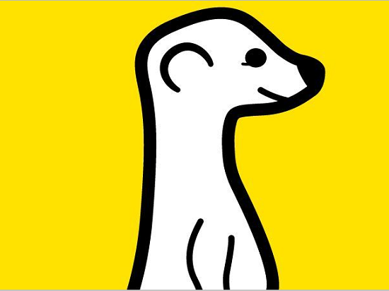 不和你玩了，Twitter封殺直播應(yīng)用Meerkat