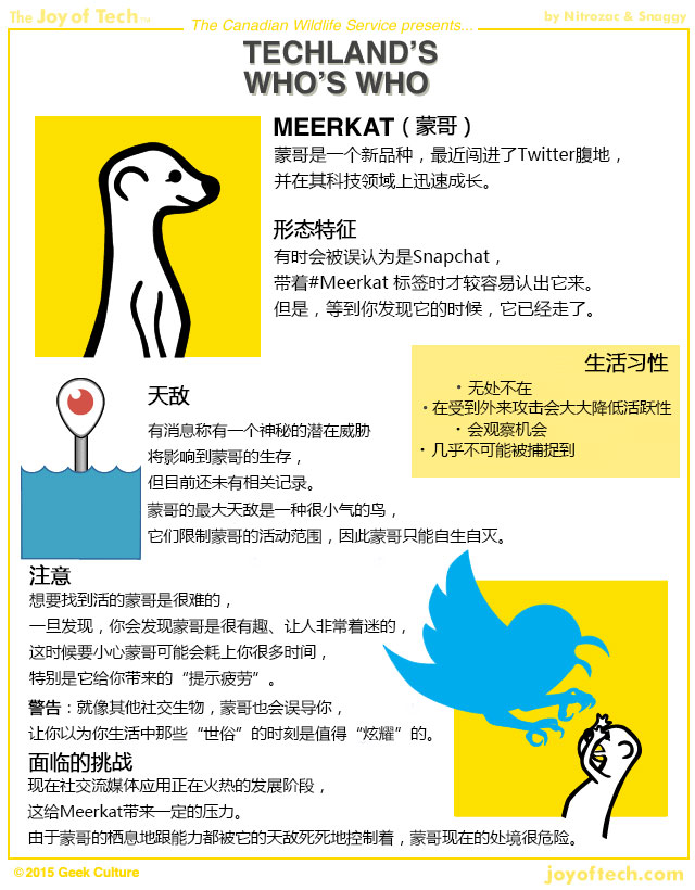 不和你玩了，Twitter封殺直播應(yīng)用Meerkat