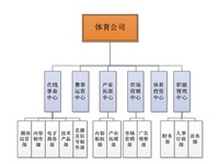 繼樂(lè)視體育后，PPTV也分拆體育公司