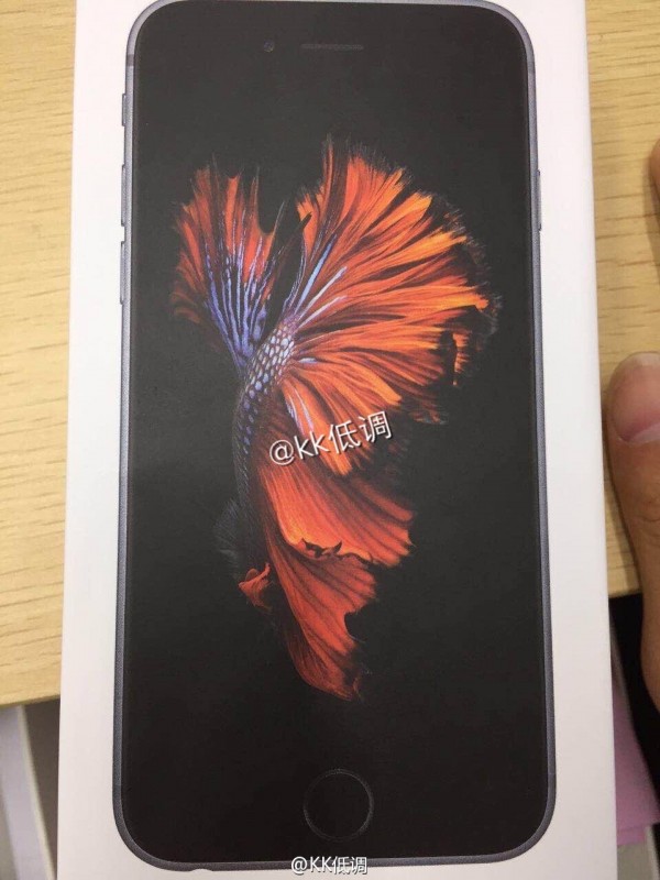 iPhone 6s包裝盒再曝光 華強北報價曝光