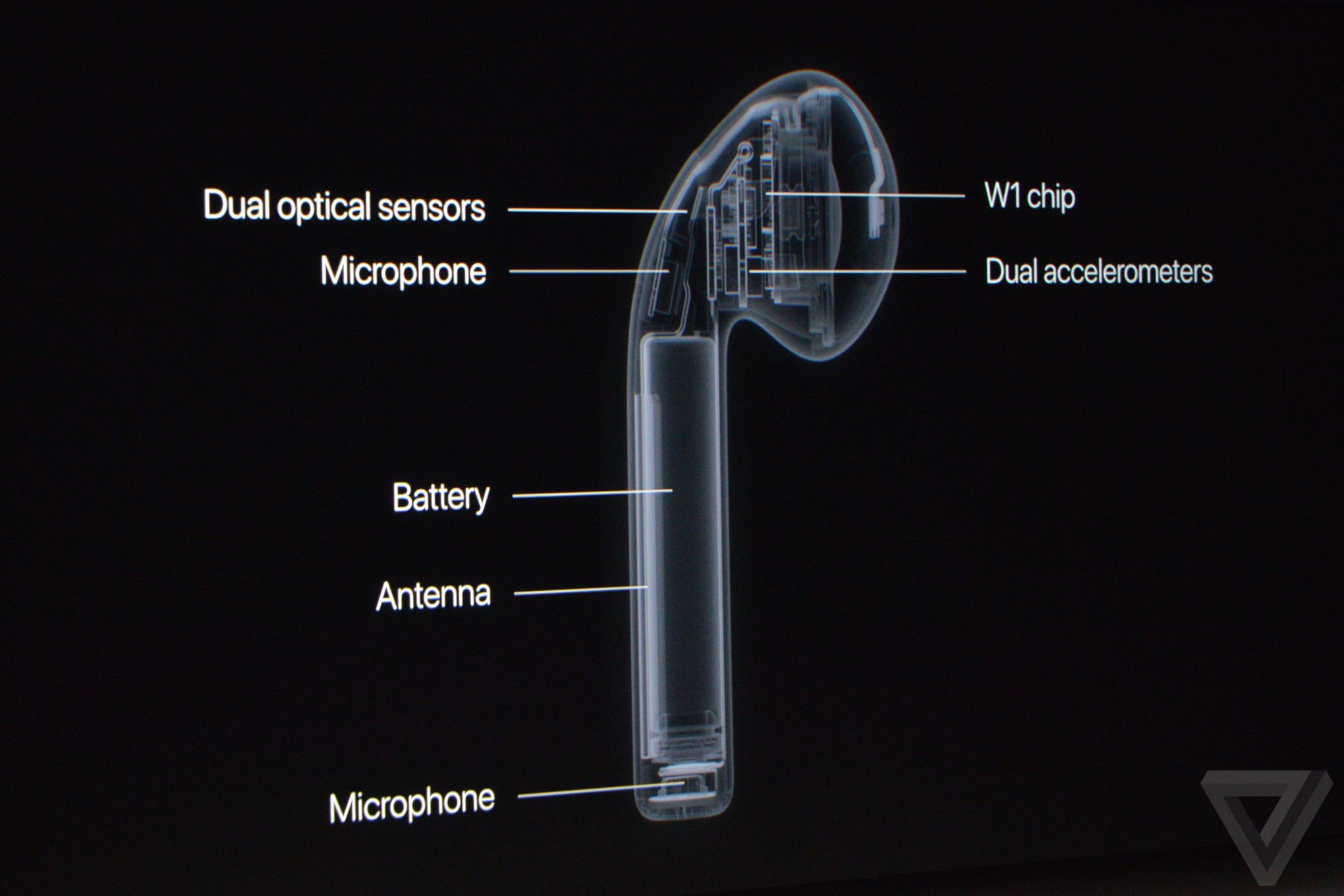 蘋果秋季發(fā)布會：除了iPhone 7還有表 就是有點“黑”