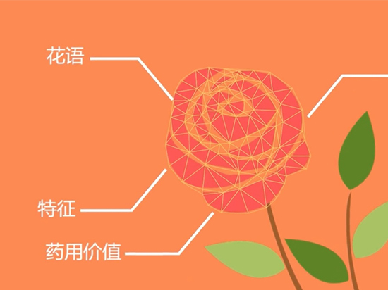 如何認(rèn)出花名？微軟識(shí)花一鍵搞定