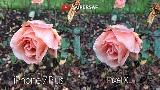 最強(qiáng)之戰(zhàn)：谷歌Pixel XL vs iPhone 7 Plus